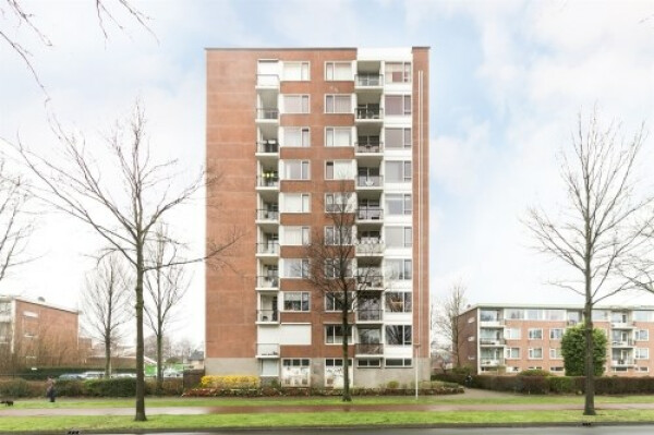 Pisanostraat