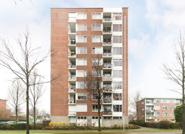 Pisanostraat