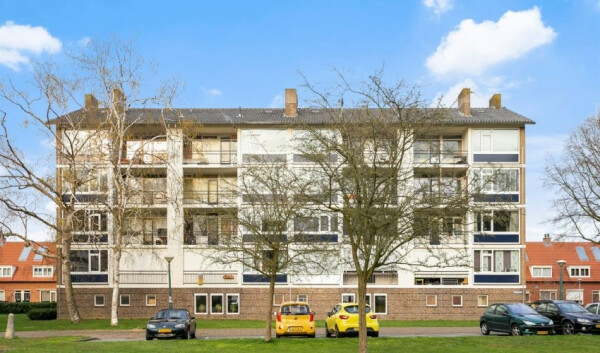 Simon van Leeuwenstraat